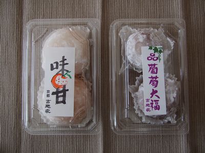 f:id:ayumylife:20201102191349j:plain