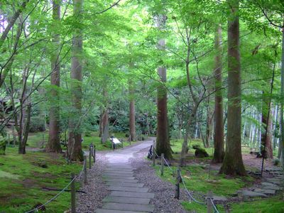 円通院 世界でひとつだけの数珠作り体験と松島の名庭園散策 宮城 Beauty Harmony 今これからを楽しむ暮らし