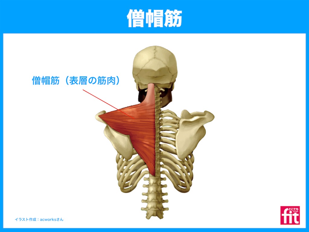f:id:ayurie132rud:20210514193440j:image