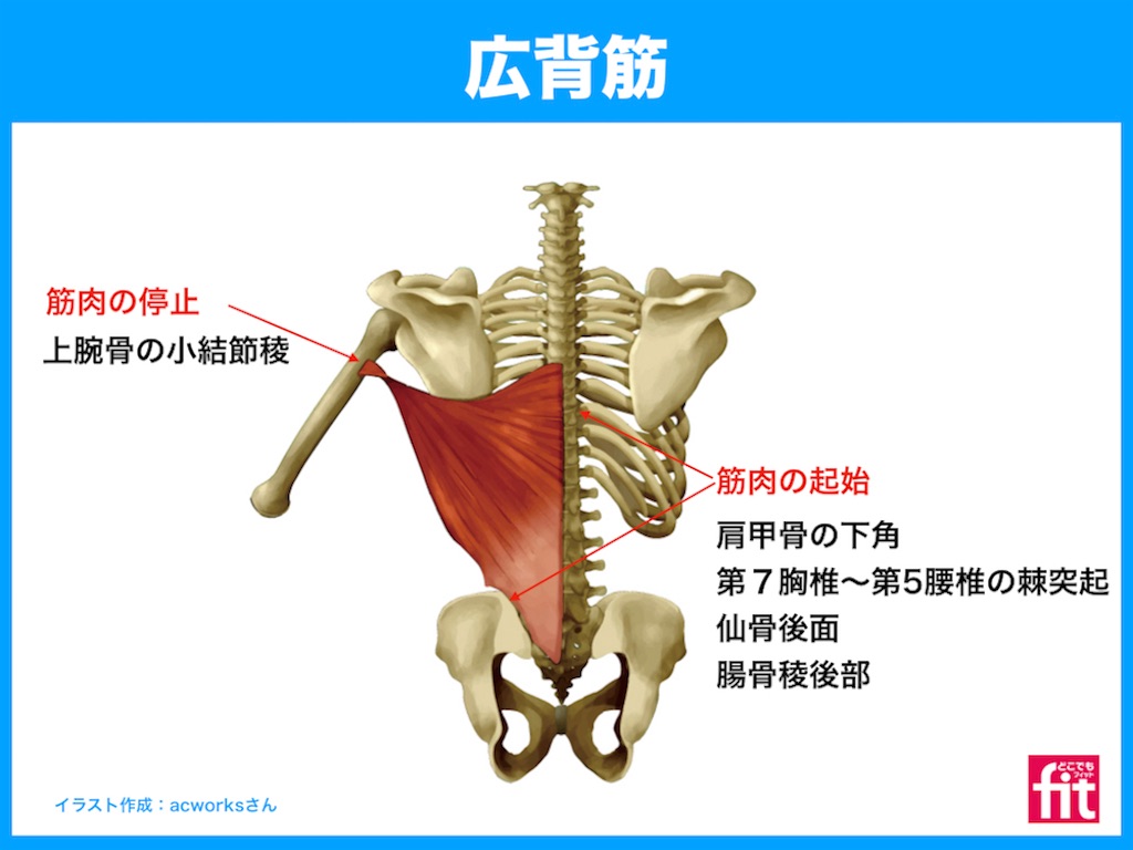 f:id:ayurie132rud:20210514193502j:image