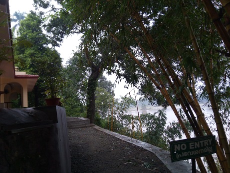 f:id:ayuruvettyco:20190907102627j:plain