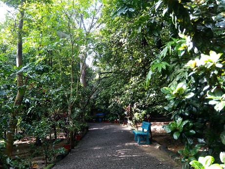 f:id:ayuruvettyco:20190908172526j:plain f:id:ayuruvettyco:20190908172526j:plain