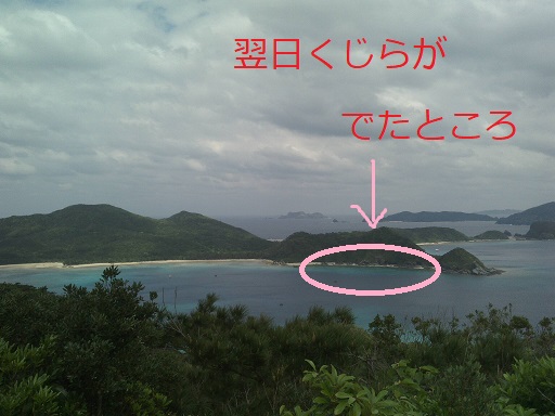 f:id:ayuruvettyco:20200203131559j:plain f:id:ayuruvettyco:20200203131559j:plain