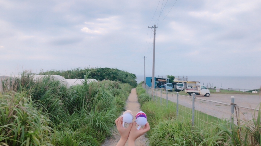 f:id:ayuteni0818:20180626005514j:plain f:id:ayuteni0818:20180626005514j:plain