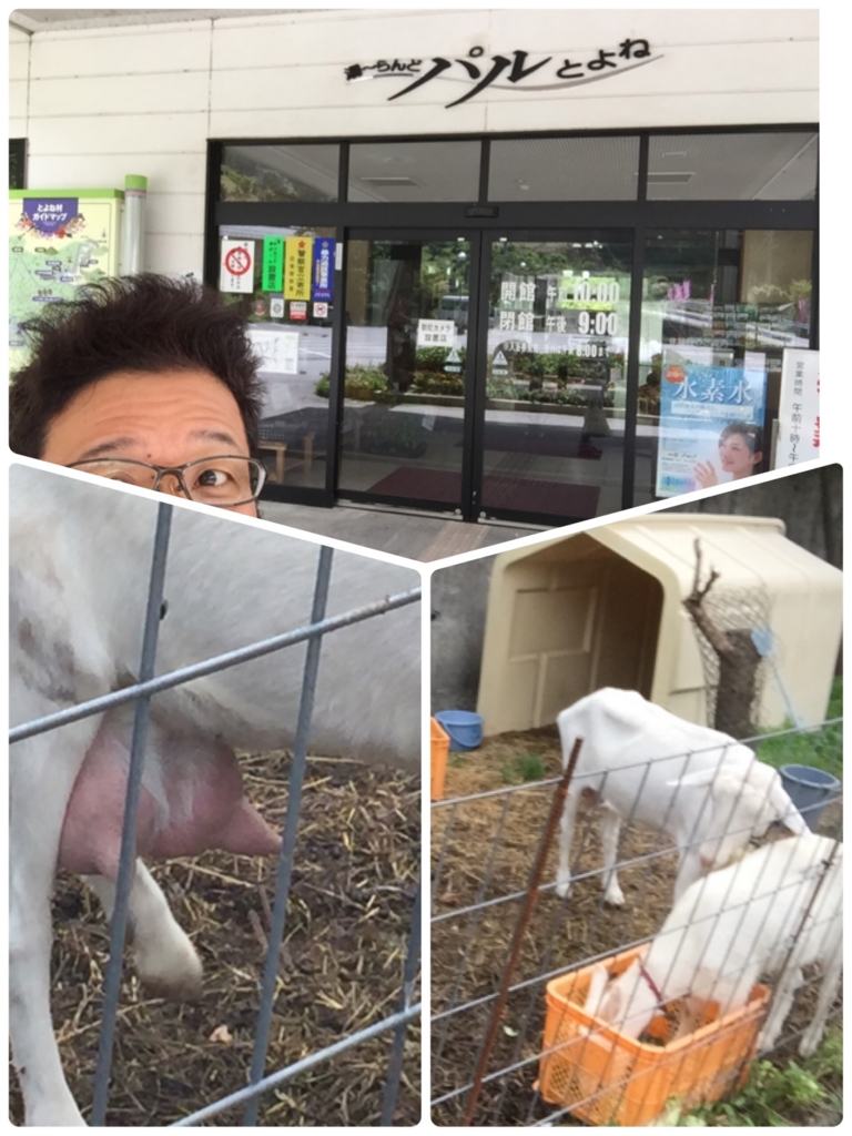 f:id:ayuturi40:20160704175703j:plain f:id:ayuturi40:20160704175703j:plain