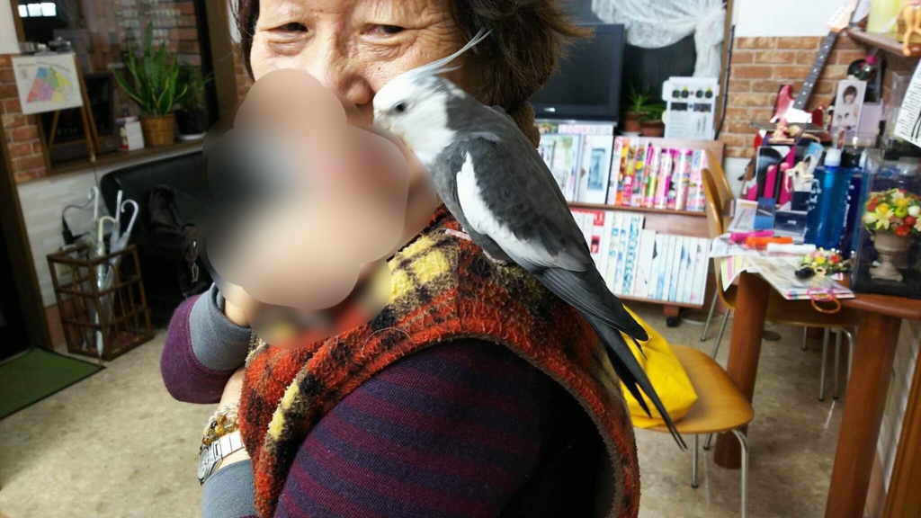 f:id:ayuturi40:20161125155624j:plain f:id:ayuturi40:20161125155624j:plain