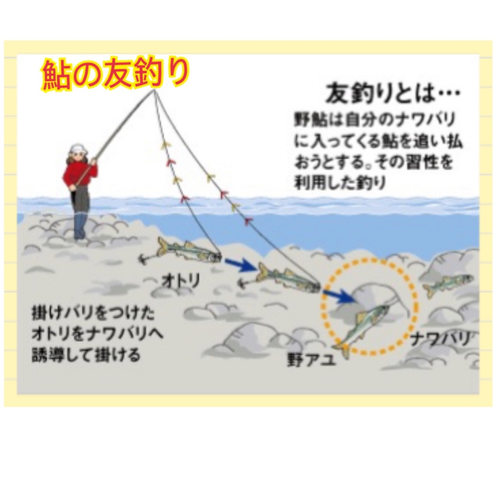 f:id:ayuturi40:20170517123752j:plain f:id:ayuturi40:20170517123752j:plain