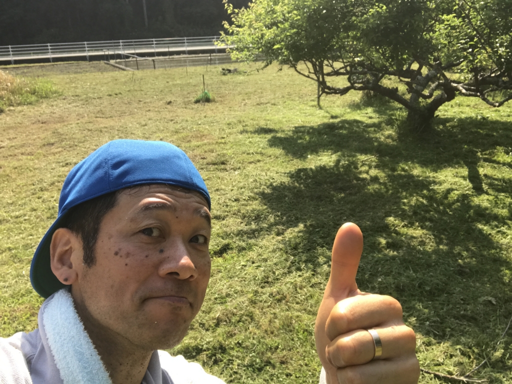 f:id:ayuturi40:20170521101855j:plain f:id:ayuturi40:20170521101855j:plain