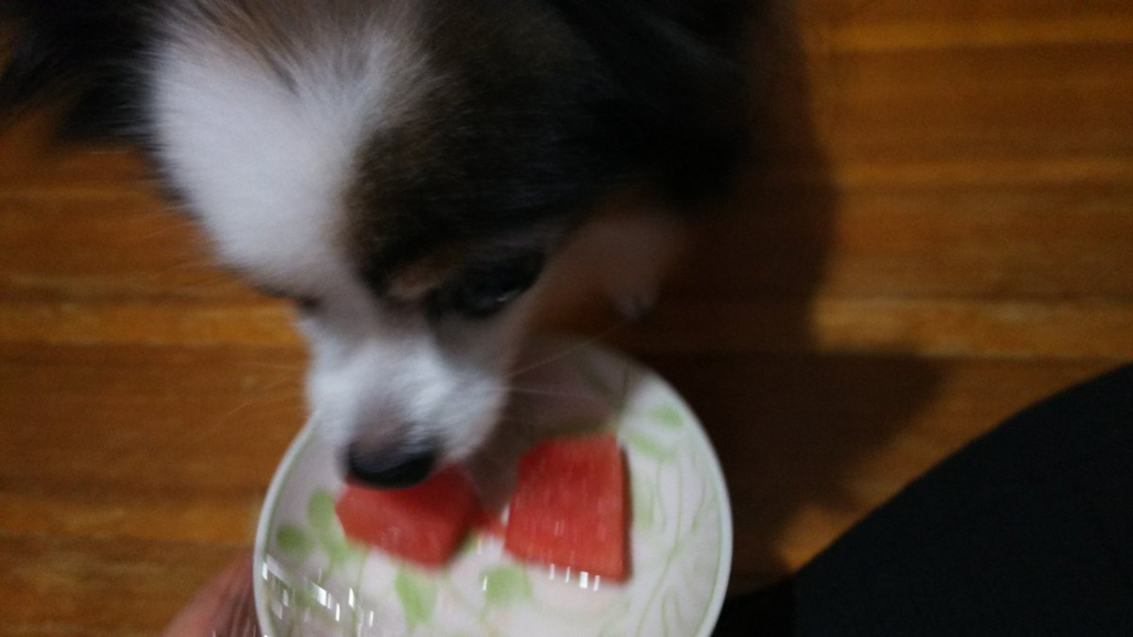 f:id:ayuturi40:20171028133753p:plain