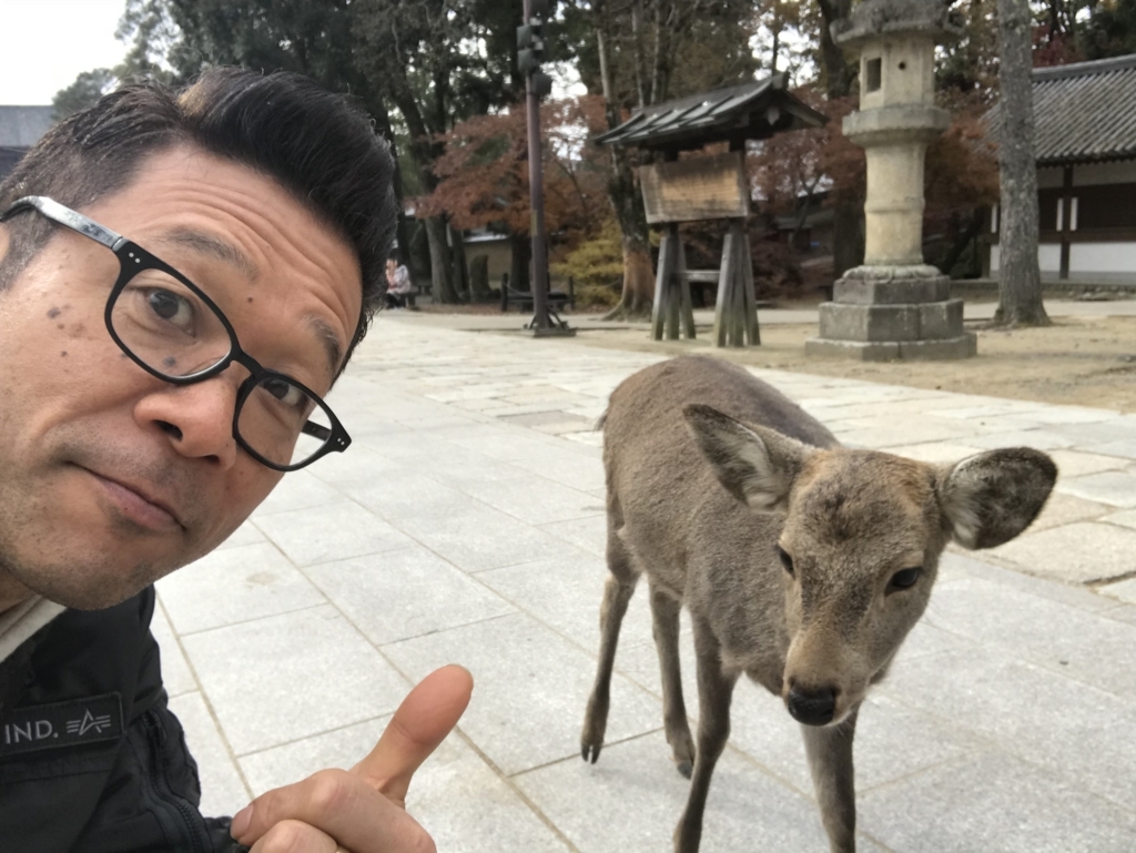 f:id:ayuturi40:20171204202110j:plain