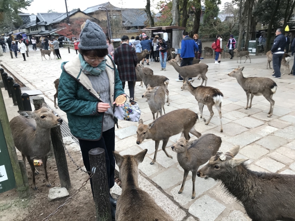 f:id:ayuturi40:20171204202425j:plain