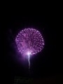 たーまやー