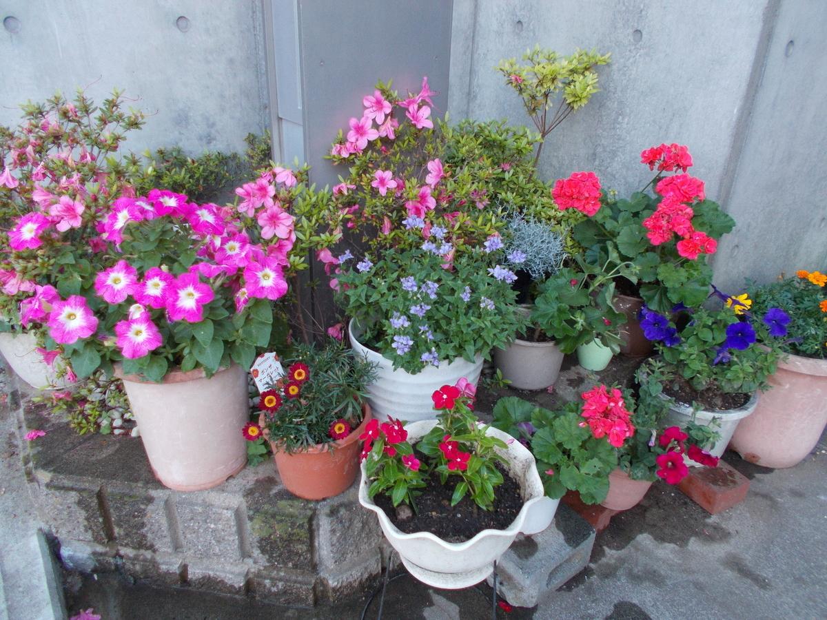 f:id:az2929:20210531184340j:plain
