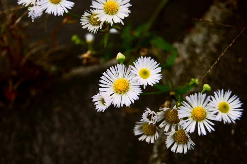 f:id:az700:20111019135727j:image