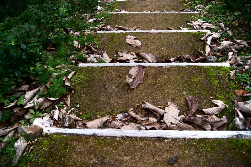 f:id:az700:20111019140018j:image