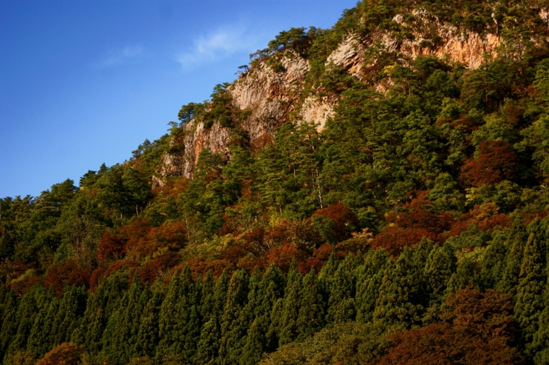 f:id:az700:20111019142515j:image