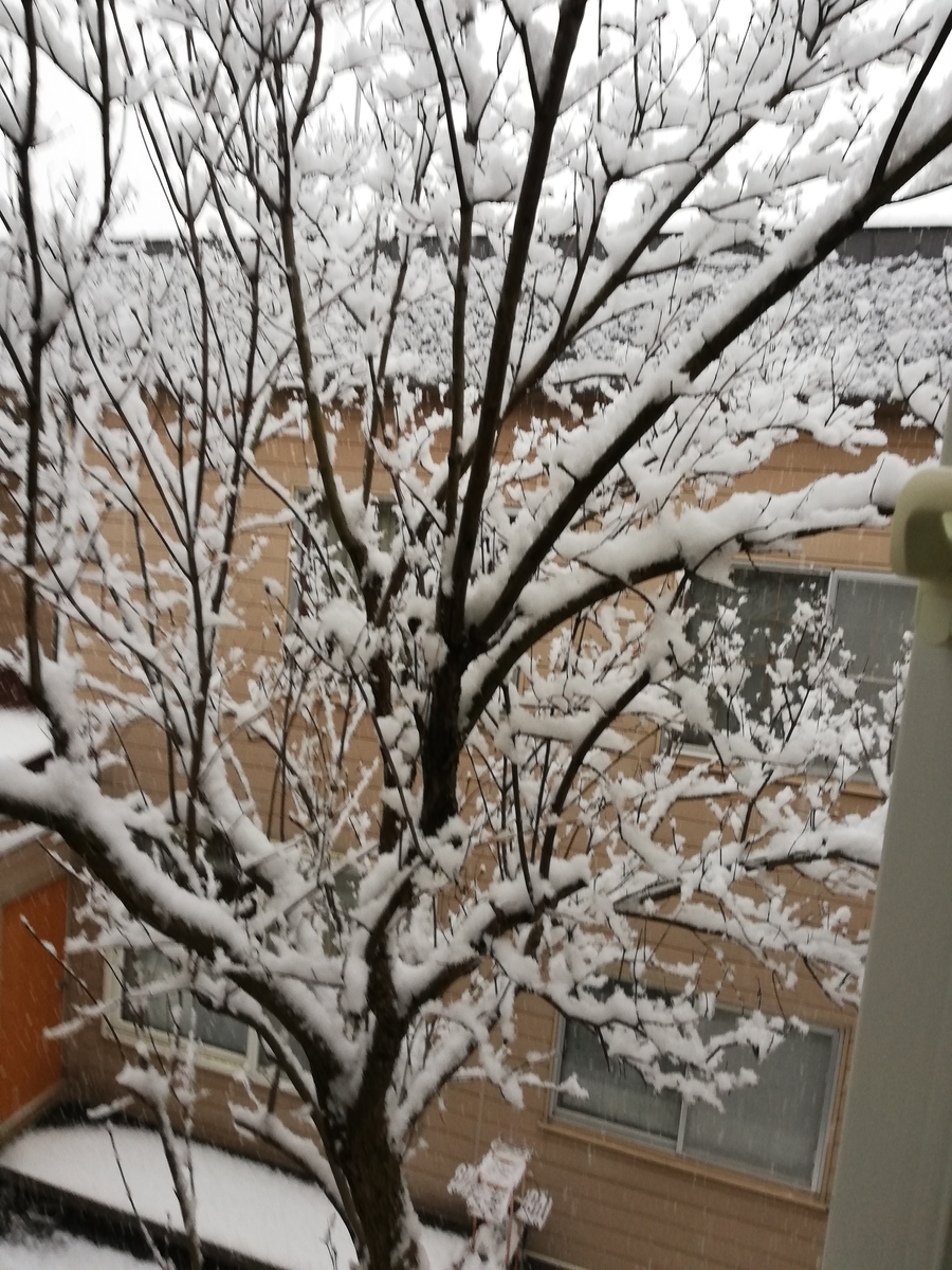 f:id:azami0830:20211218132354j:plain