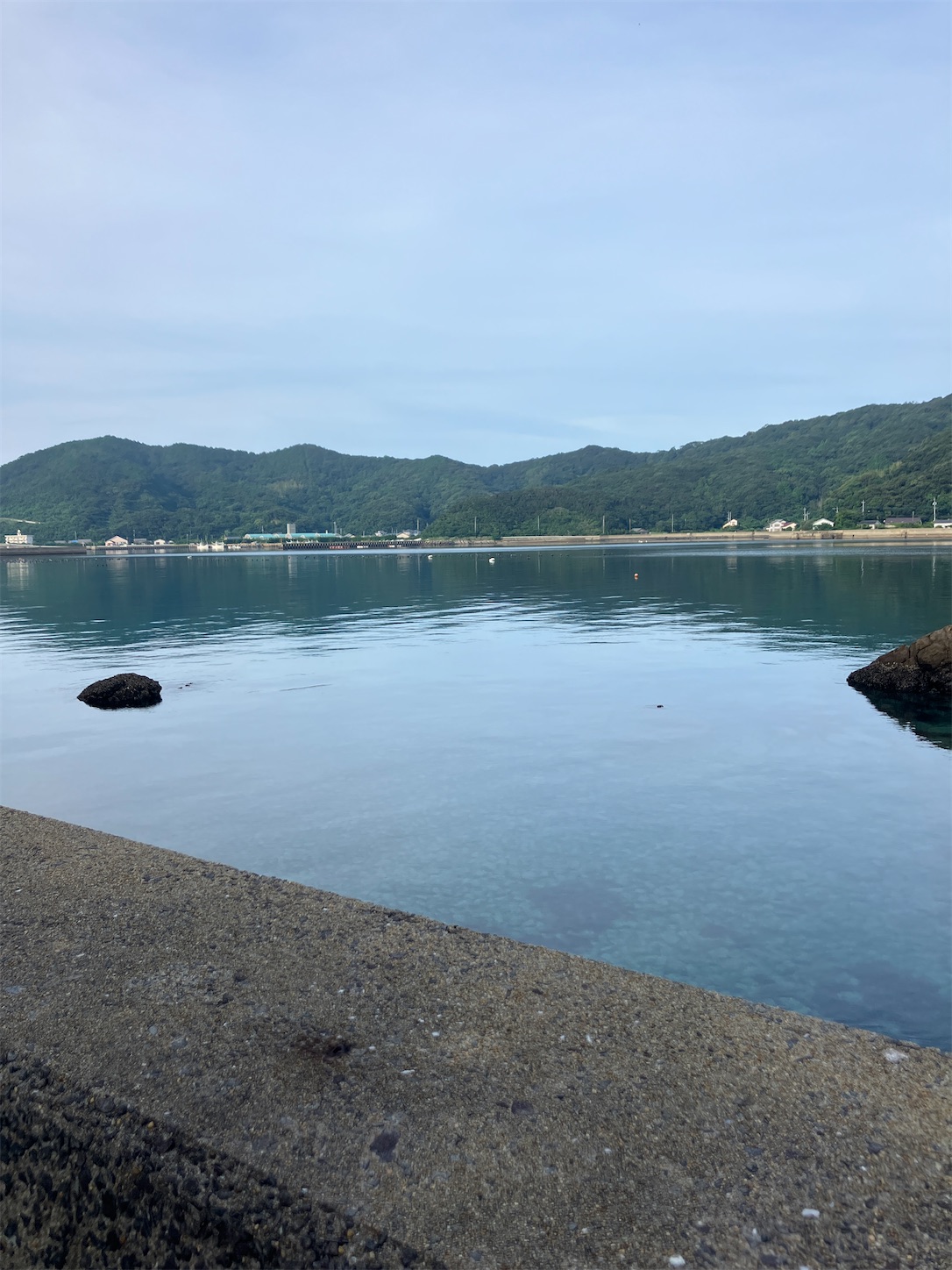 f:id:azamibrog:20230728105355j:image f:id:azamibrog:20230728105355j:image