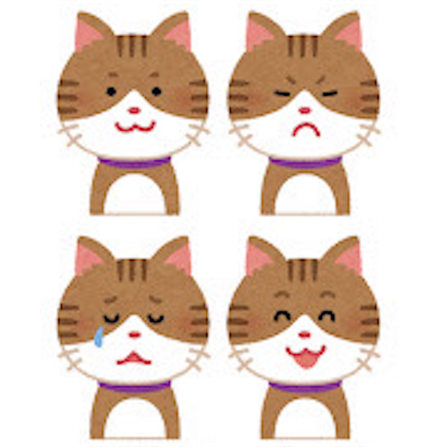 f:id:azamibrog:20241112081823j:image