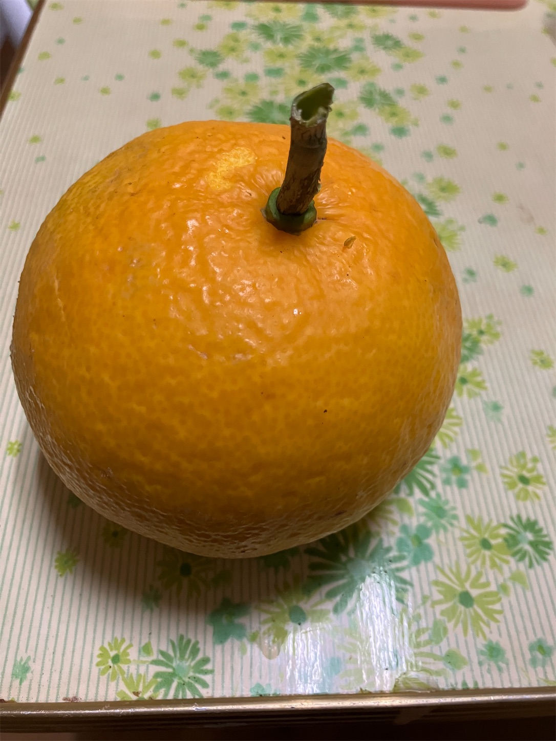 f:id:azamibrog:20260122065348j:image