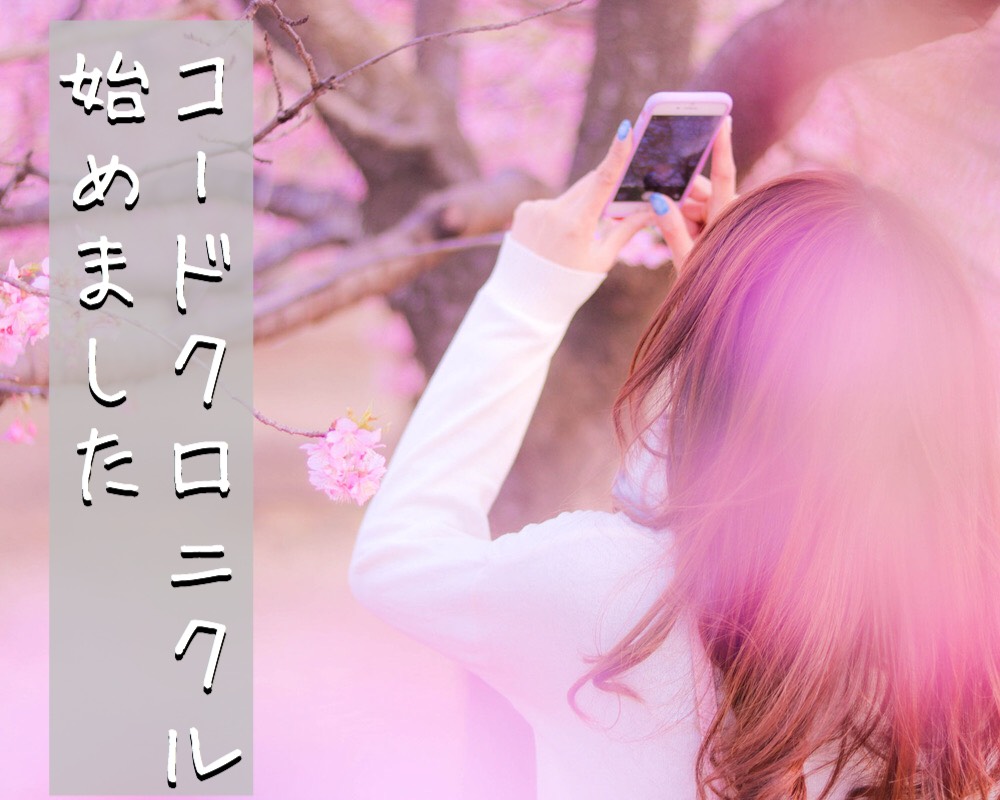 コードクロニクル始めました