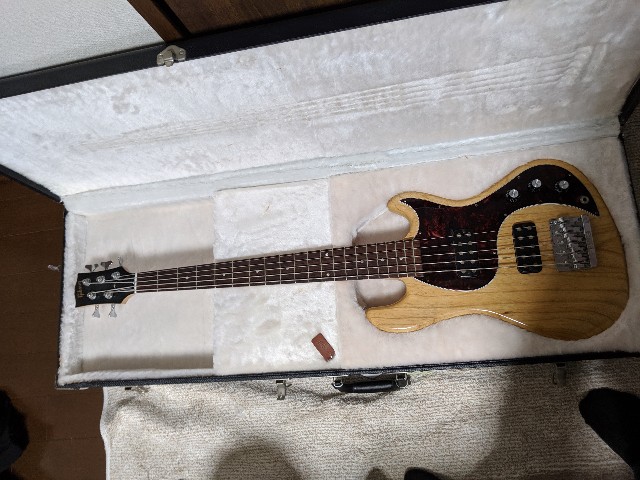 f:id:azarashi_johnny:20190603210831j:image