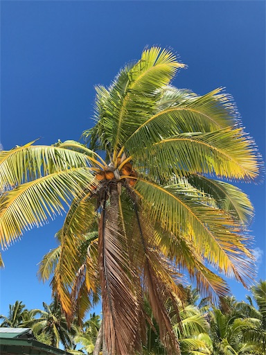 f:id:azarashikaigo:20190627151432j:image