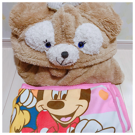 ディズニー旅行 事前準備は大丈夫 活躍するアイテム5選 意外な盲点も 11月18日は何の日