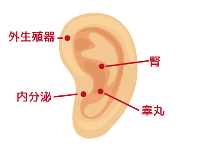 f:id:azarashisan:20180622171824j:plain f:id:azarashisan:20180622171824j:plain