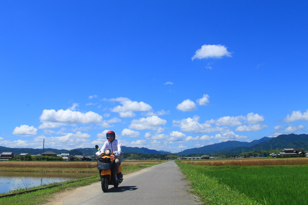 f:id:azarasisannirassyai:20190511195502j:plain