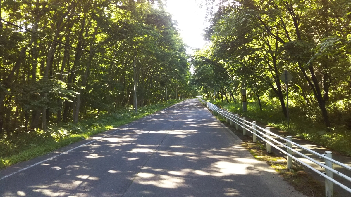 f:id:azarasix:20200628184537j:plain