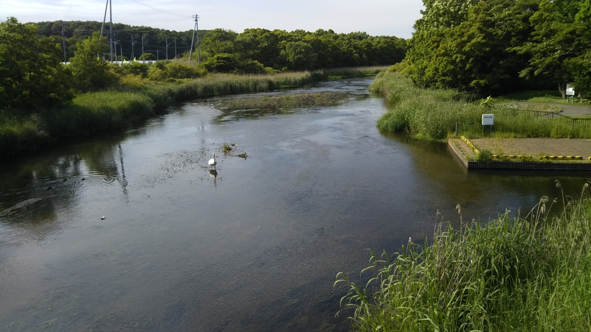 f:id:azarasix:20200628185812j:plain