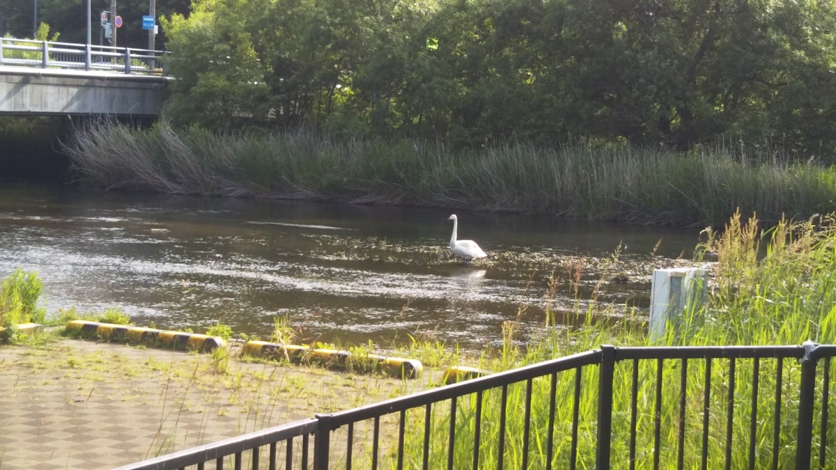 f:id:azarasix:20200628185836j:plain