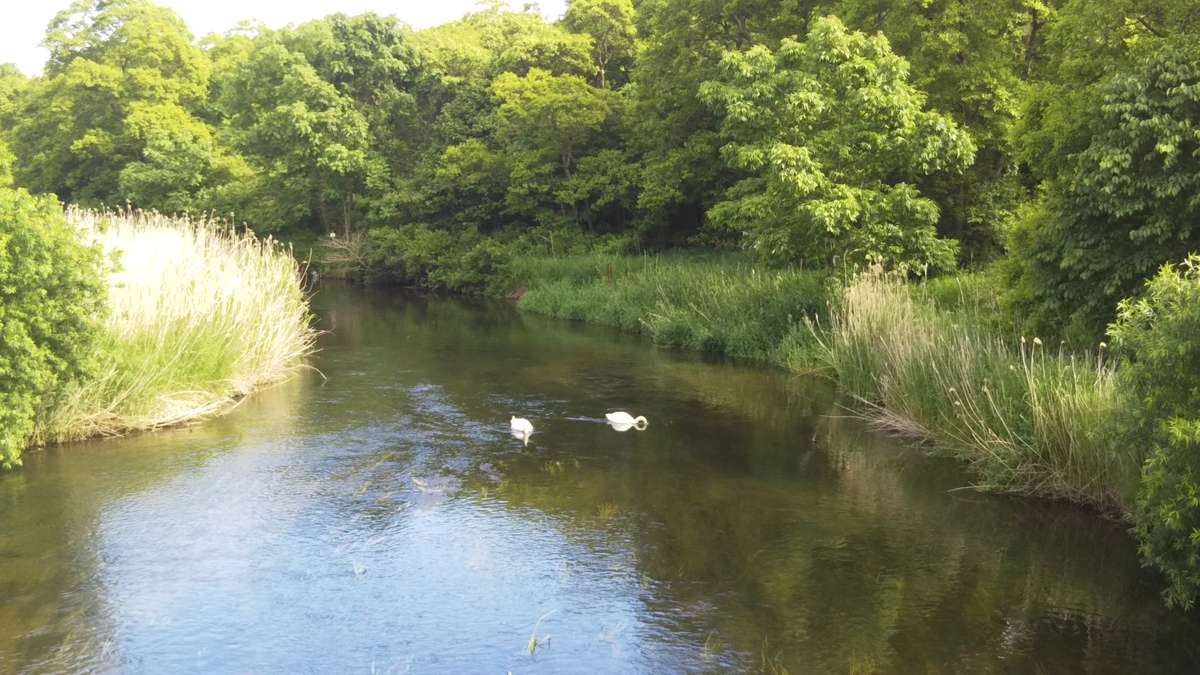 f:id:azarasix:20200628185848j:plain