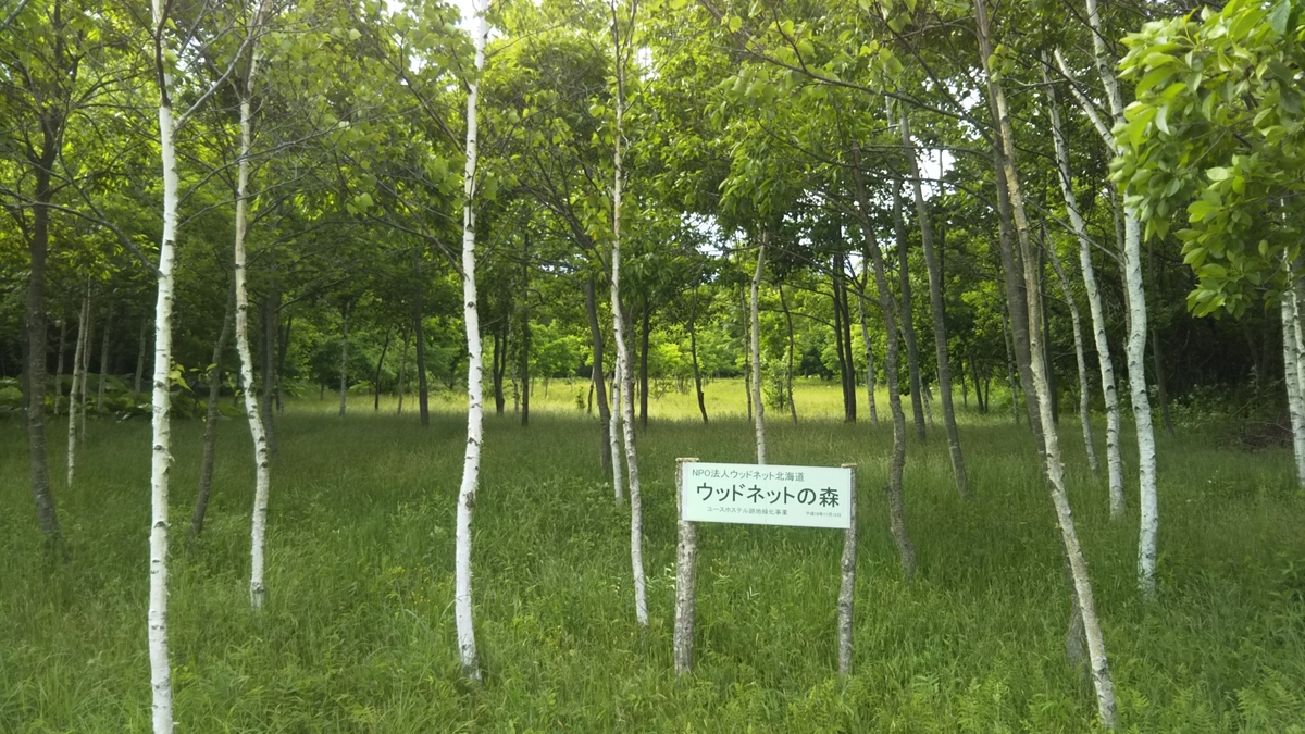 f:id:azarasix:20200628192307j:plain