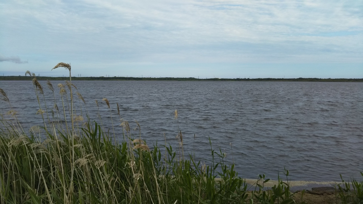 f:id:azarasix:20200628192316j:plain