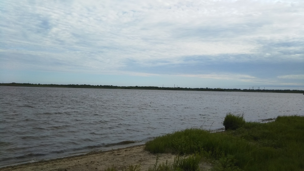 f:id:azarasix:20200628192339j:plain