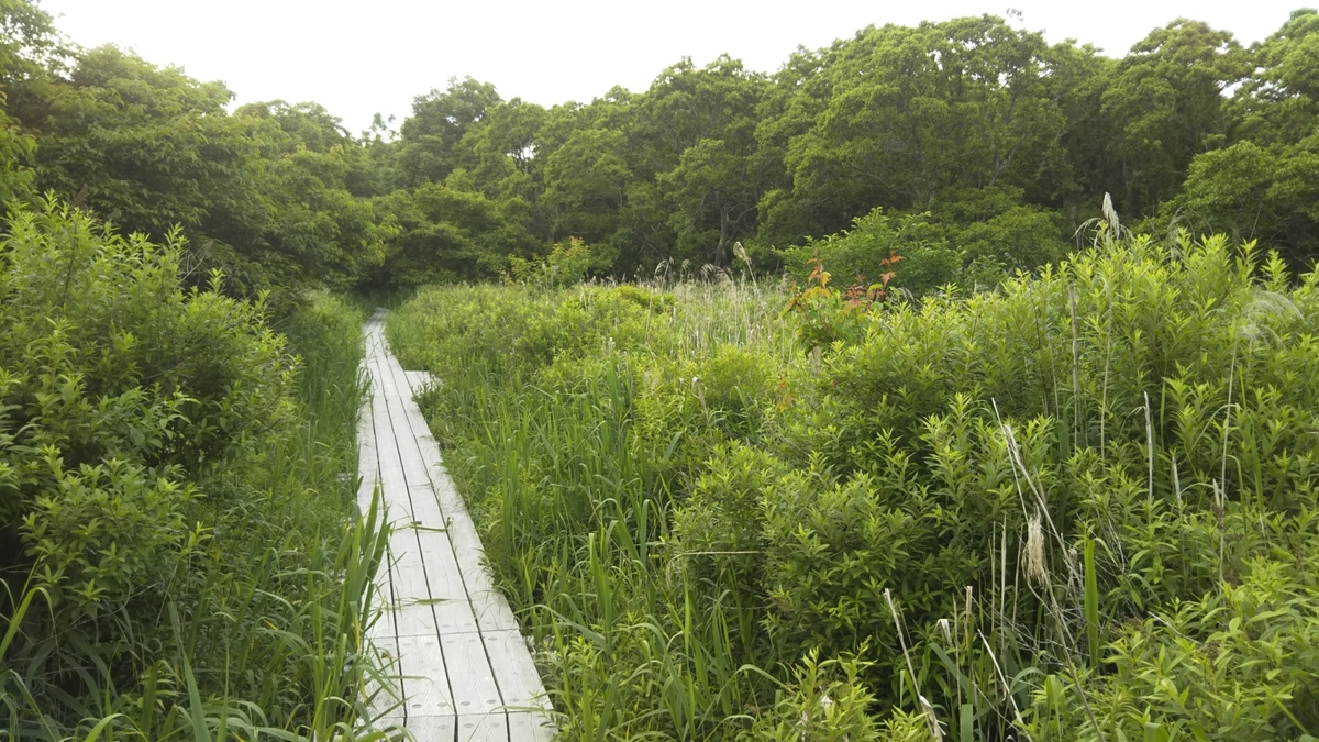 f:id:azarasix:20200628192349j:plain