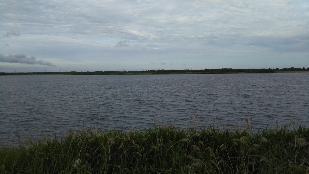 f:id:azarasix:20200628192410j:plain