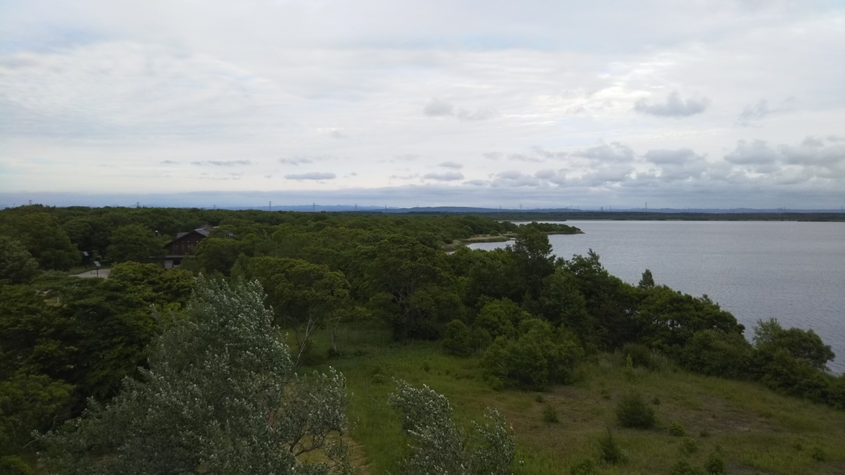 f:id:azarasix:20200628193240j:plain