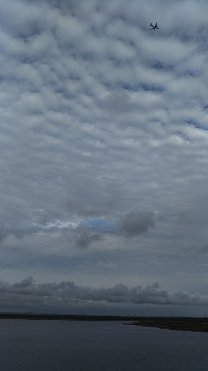 f:id:azarasix:20200628193528j:plain