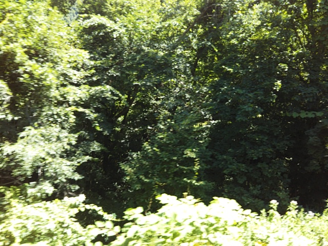 f:id:azarasix:20200724023715j:plain