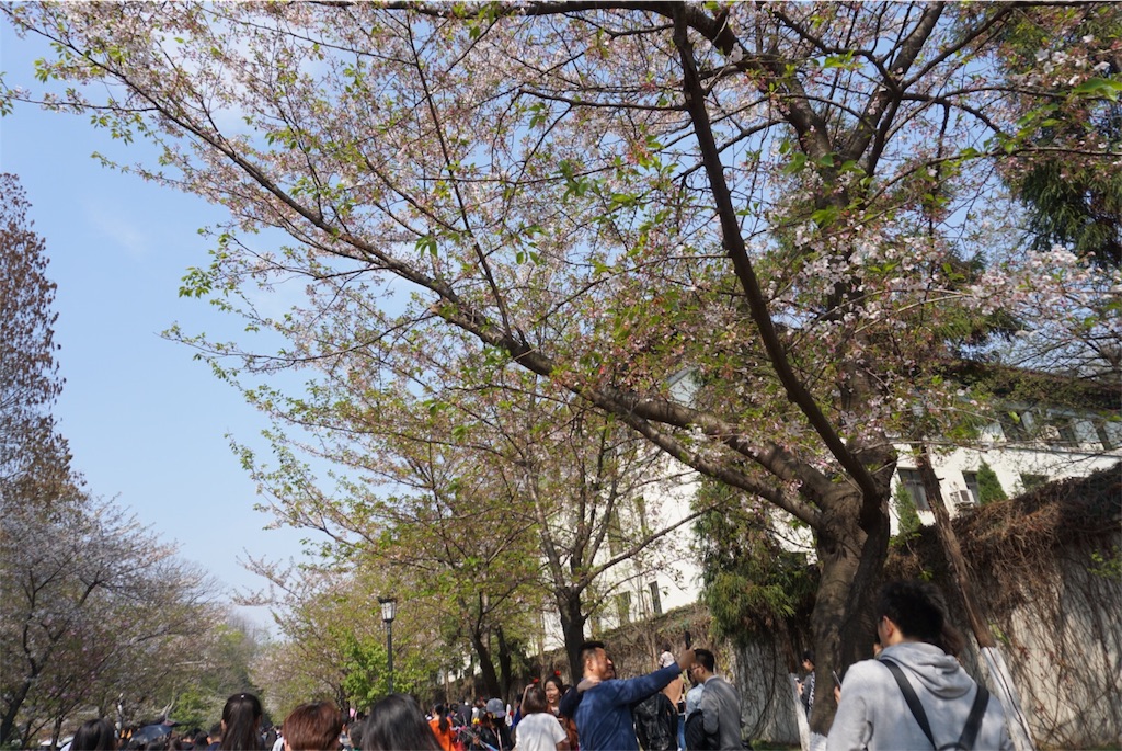 f:id:azayhr:20170409151002j:image f:id:azayhr:20170409151002j:image