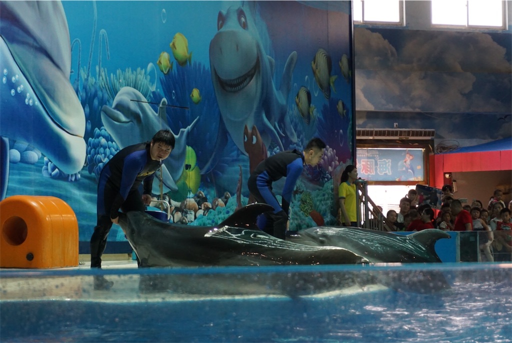f:id:azayhr:20170614120437j:image f:id:azayhr:20170614120437j:image