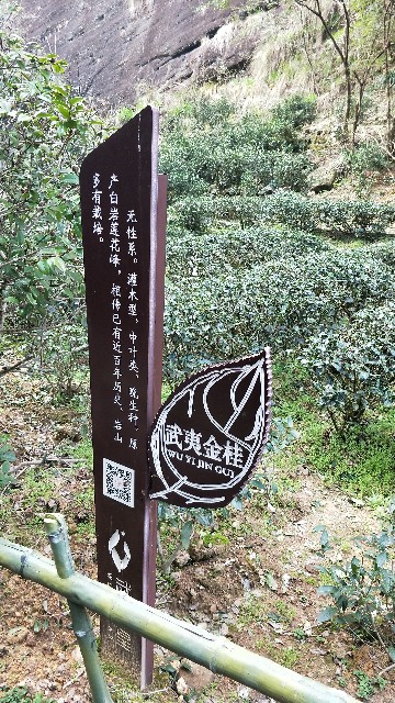 f:id:azayhr:20180405115824j:image