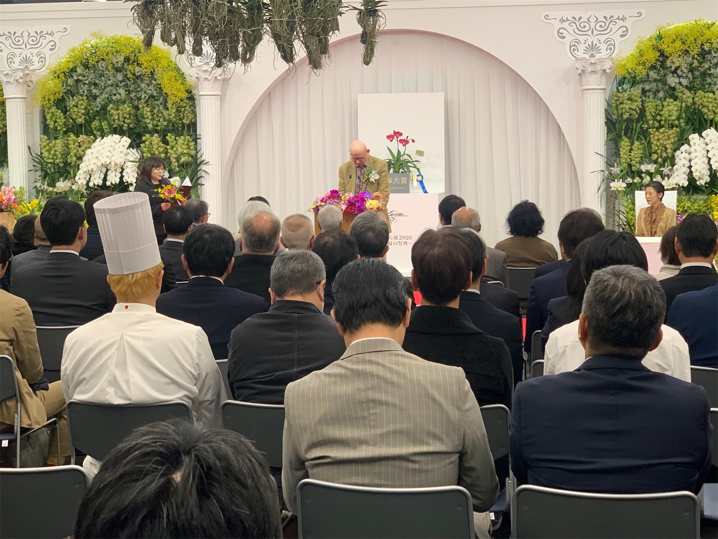 蘭子　 世界らん展2026に行ってきました - 純風満蘭（富貴蘭・風蘭ブログ 着生