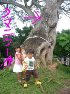 f:id:azecchi:20081226155337j:image f:id:azecchi:20081226155337j:image