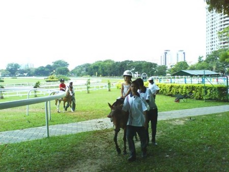 f:id:azecchi:20090607132021j:image f:id:azecchi:20090607132021j:image