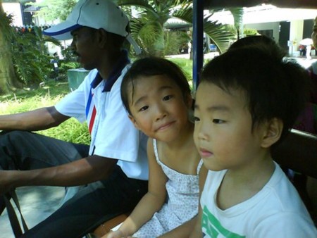 f:id:azecchi:20090607150506j:image f:id:azecchi:20090607150506j:image
