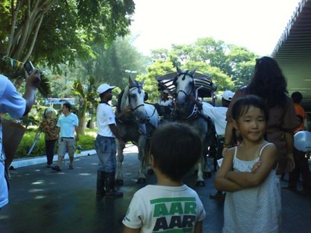 f:id:azecchi:20090607150636j:image f:id:azecchi:20090607150636j:image